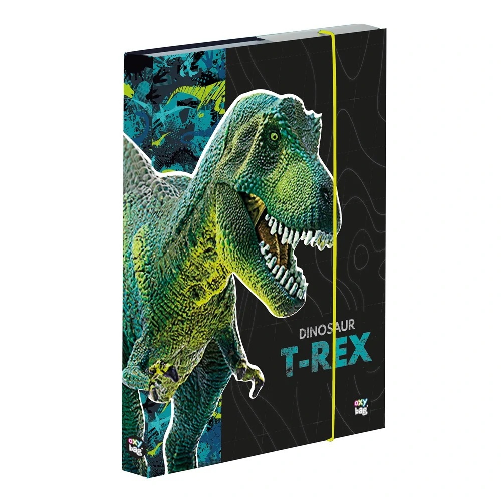 BOX NA SEŠITY A4 T-REX