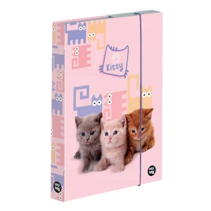 Box na sešity A4 koťátka