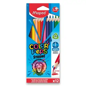 PASTELKY MAPED 12KS