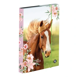 BOX NA SEŠITY A5 KŮŇ